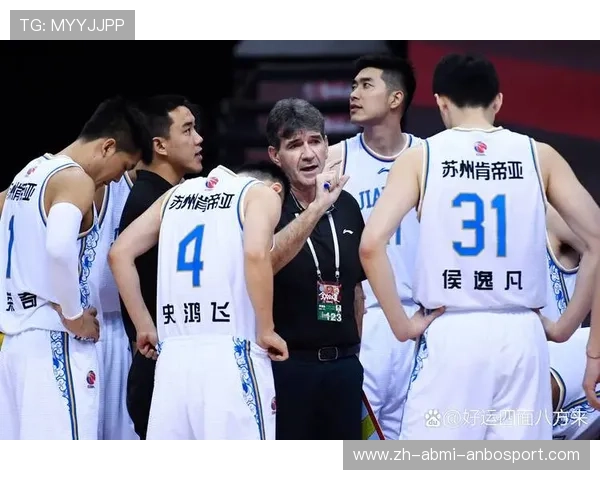 青岛CBA球队球员名单更新：主力与新秀分析